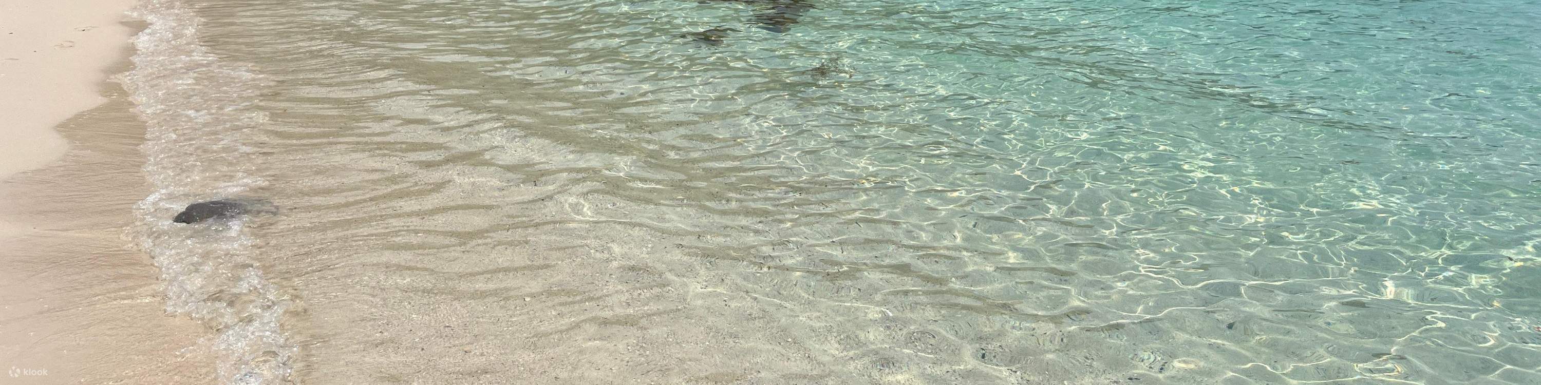 Kafe@WM di WM Hotel di Hong Kong | Prasmanan setengah makan siang, Prasmanan Brunch, Prasmanan Makan Malam